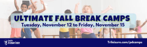 Fall Break Camps Nov 12-15